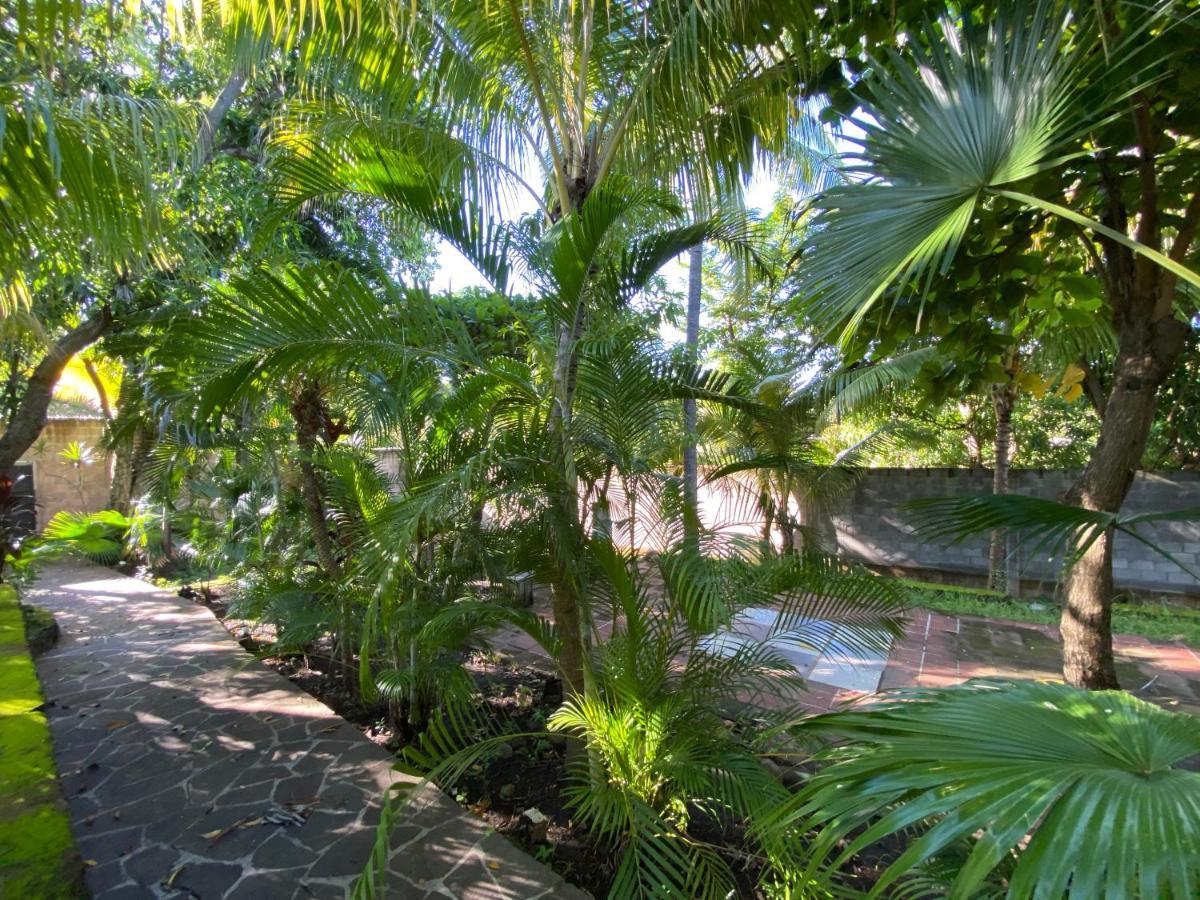 Lote 44 Guesthouse Эль-Сонте Экстерьер фото